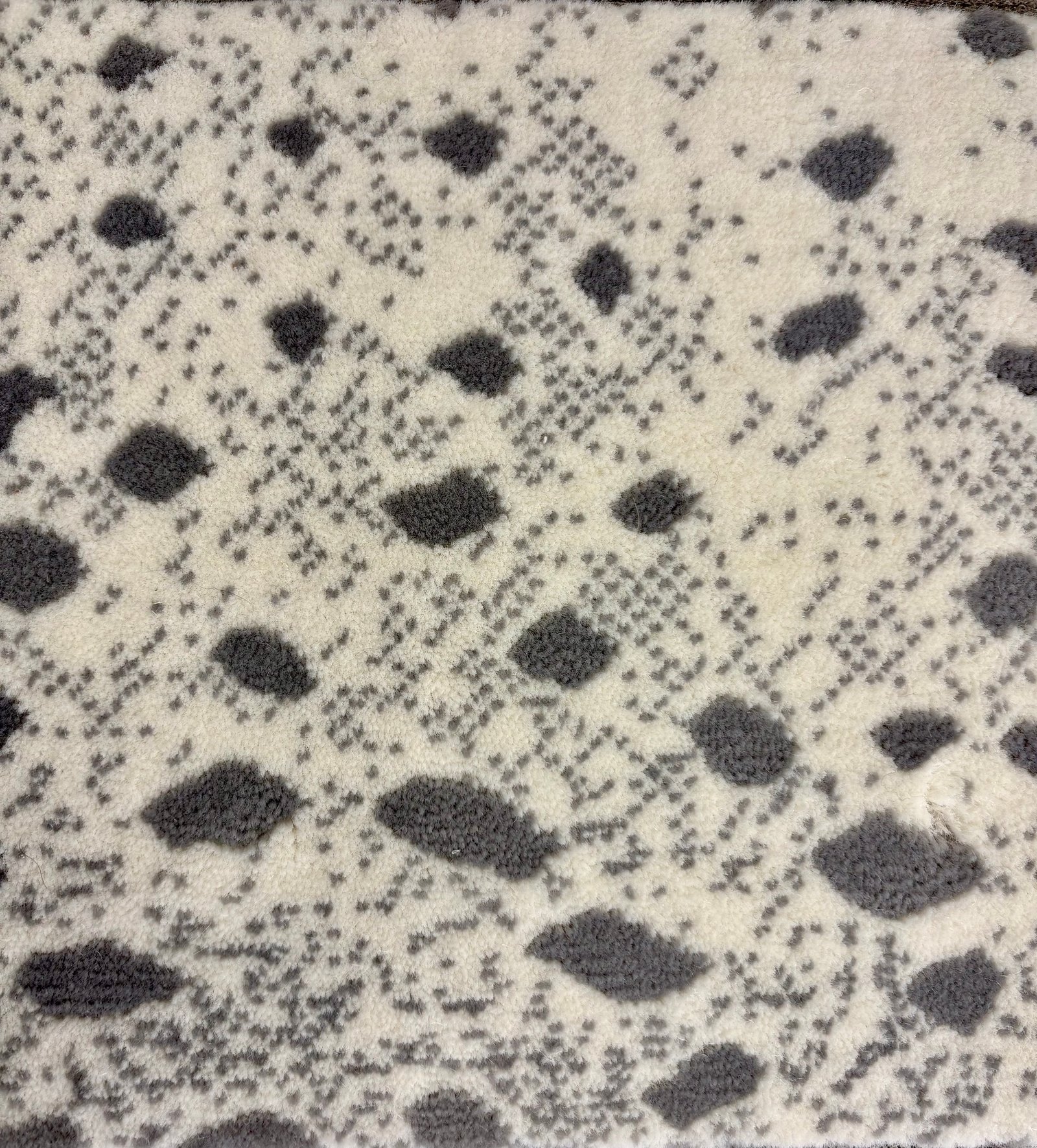 Deerfield Bone - 13.2 x 18