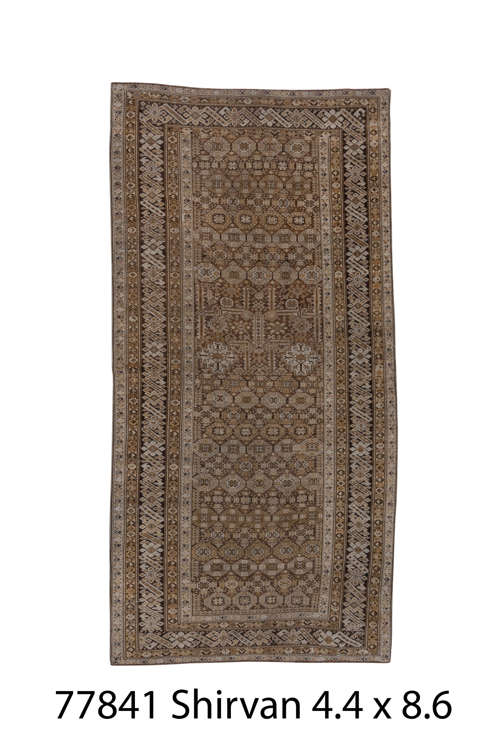 Shirvan 8' 6" X 4' 4"