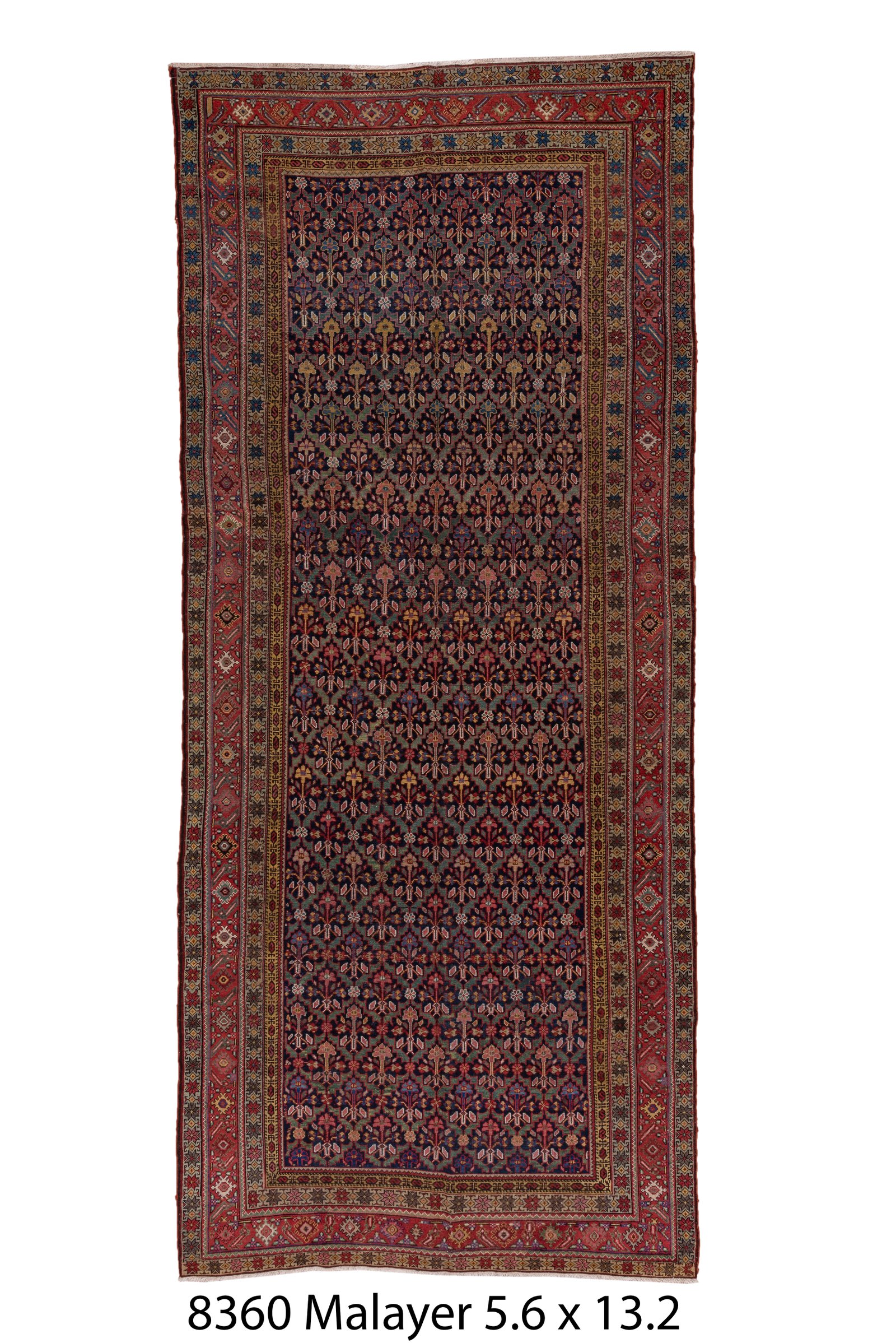 Malayer 13' 2" X 5' 6"