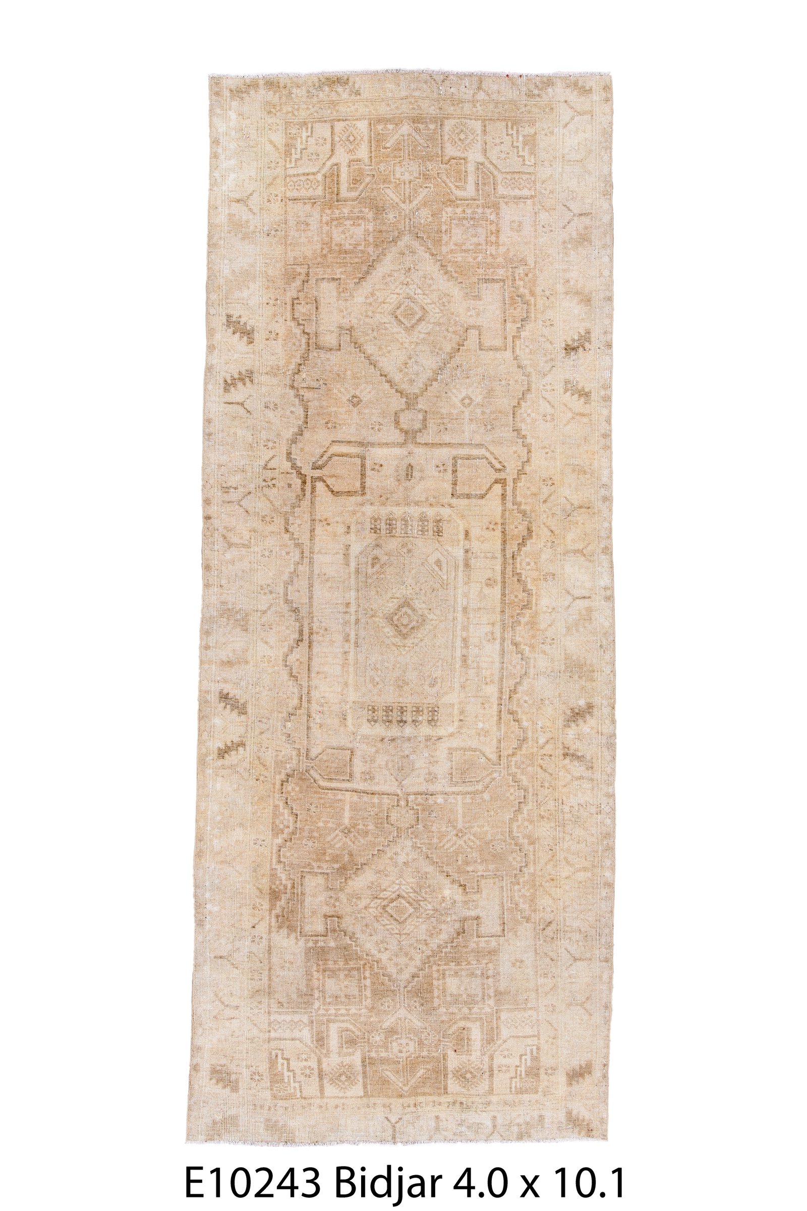 Bidjar 10' 1" X 4' 0"