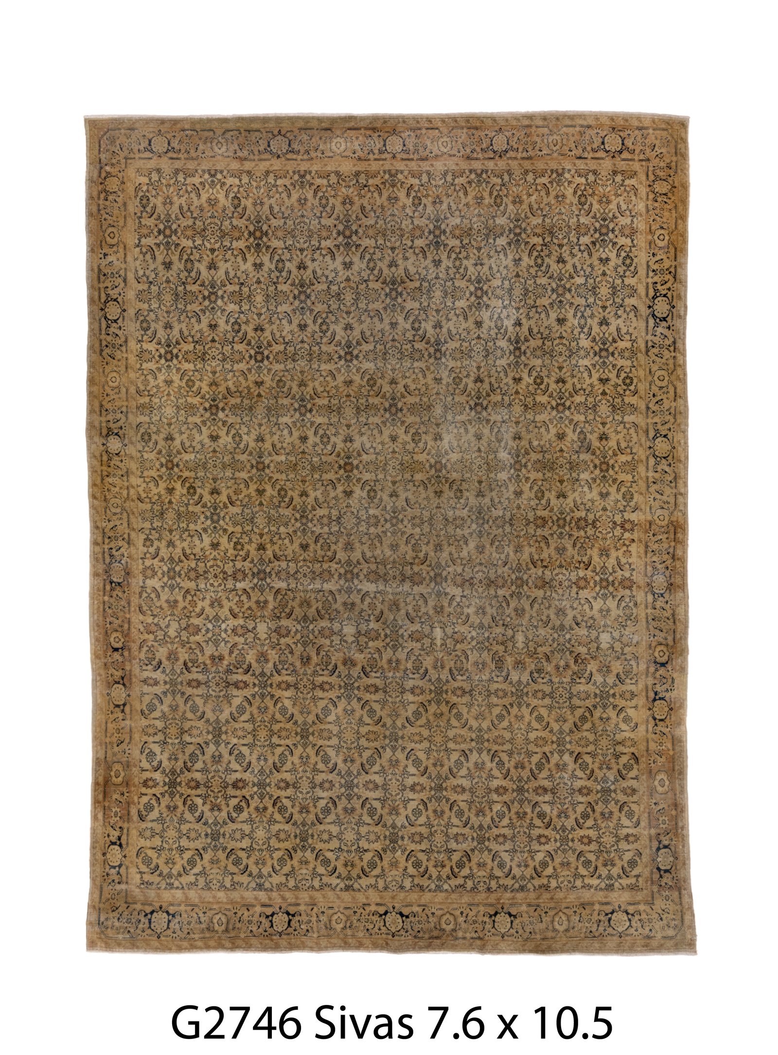 Sivas 10' 5" X 7' 6"