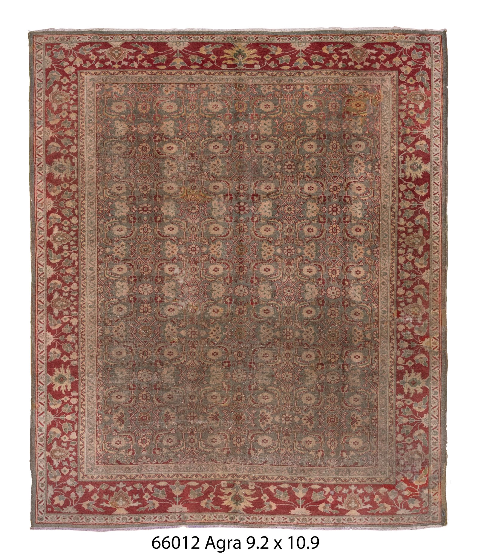 Agra 10' 9" X 9' 2"