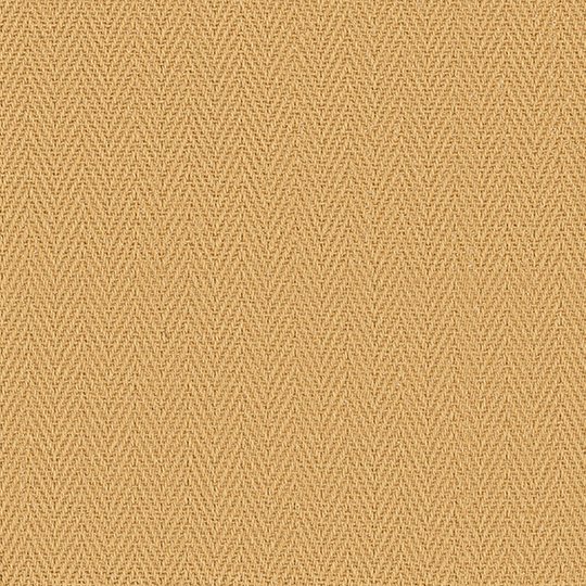Astute Wheat